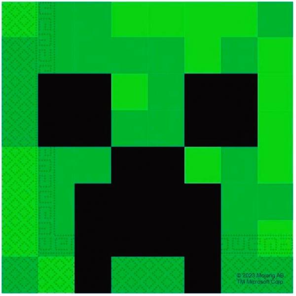 Ubrousky Minecraft 20ks